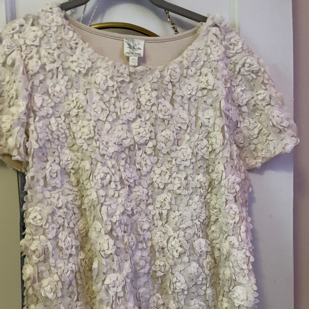 Anthropologie top; size L